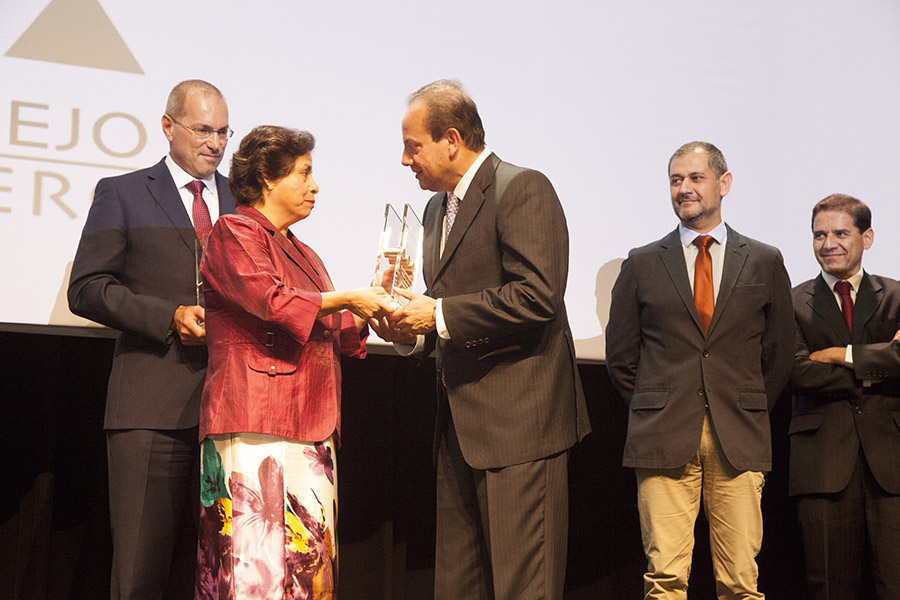 Collahuasi gana premio “Buenas Prácticas 2016” del Consejo Minero