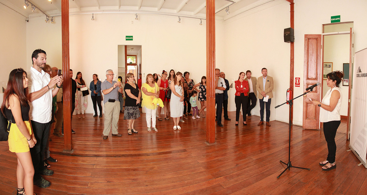 Yok-Moy Tan llena de vida la Sala de Arte Pica Collahuasi a través de piedras pintadas