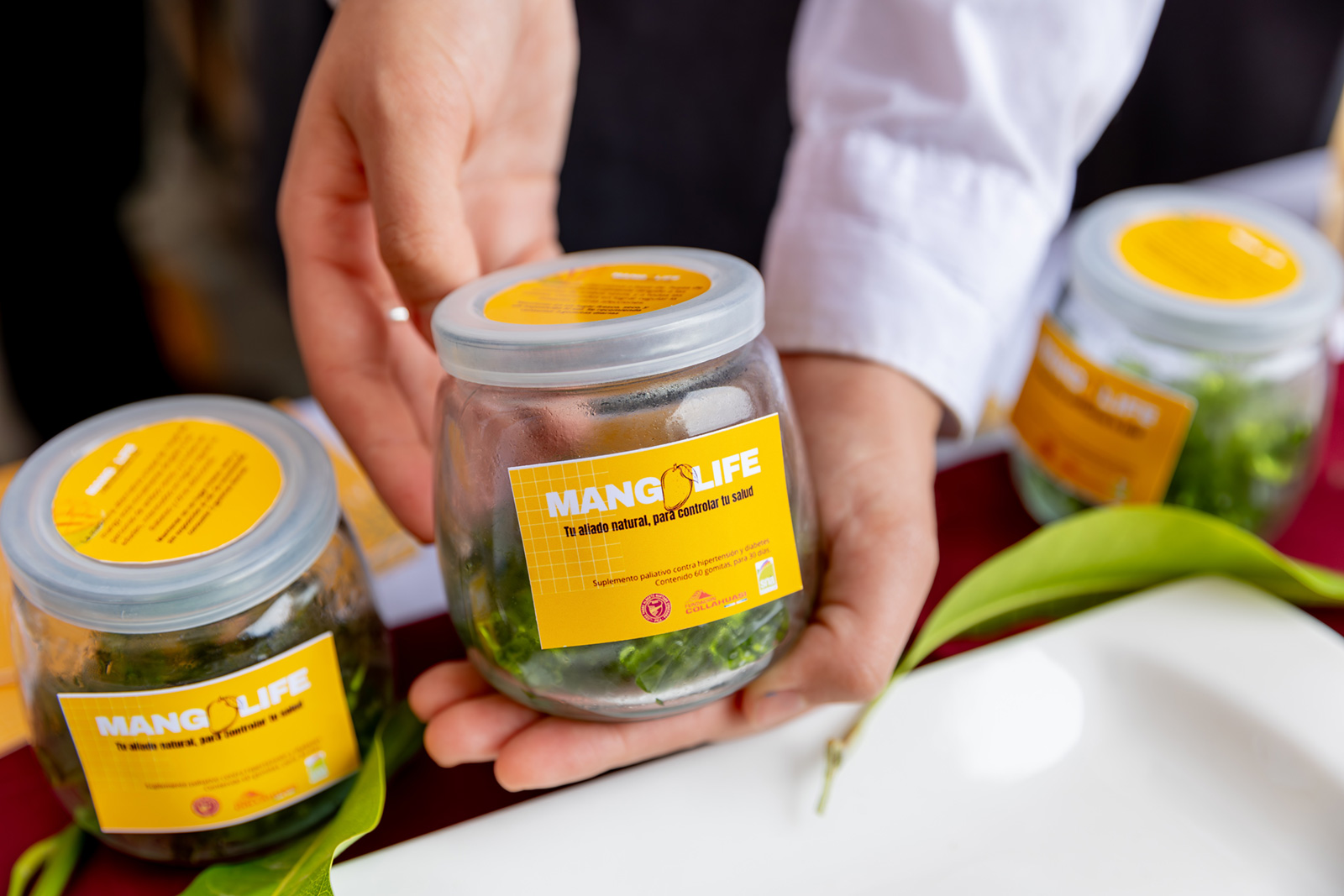 Proyecto “Mangolife” de Liceo Padre Alberto Hurtado Cruchaga de Pica destacó en concurso de innovación regional