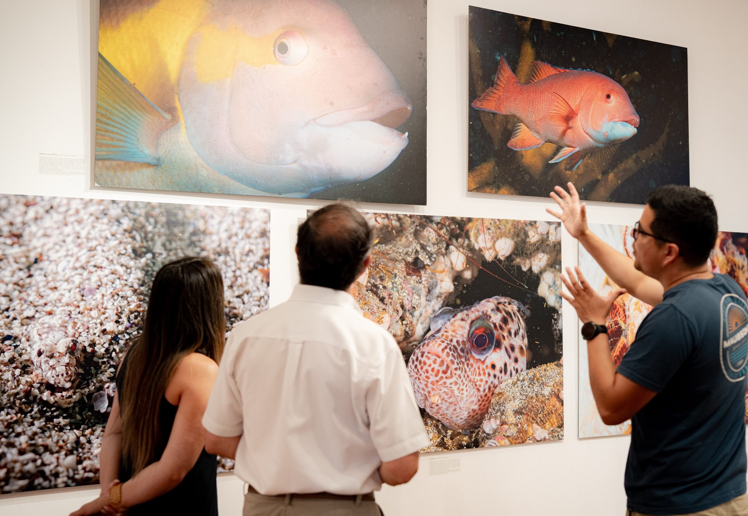“Iquique, Mar de Campeones” será uno de los panoramas del Día de los Patrimonios en verano